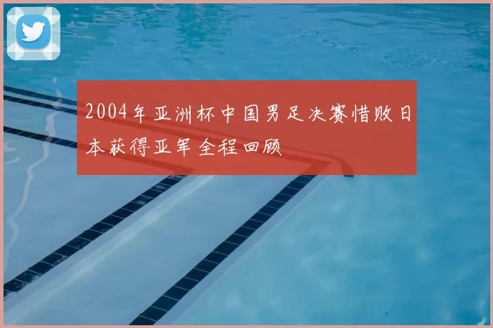2004年亚洲杯中国男足决赛惜败日本获得亚军全程回顾