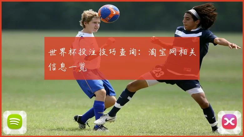 世界杯投注技巧查询：淘宝网相关信息一览