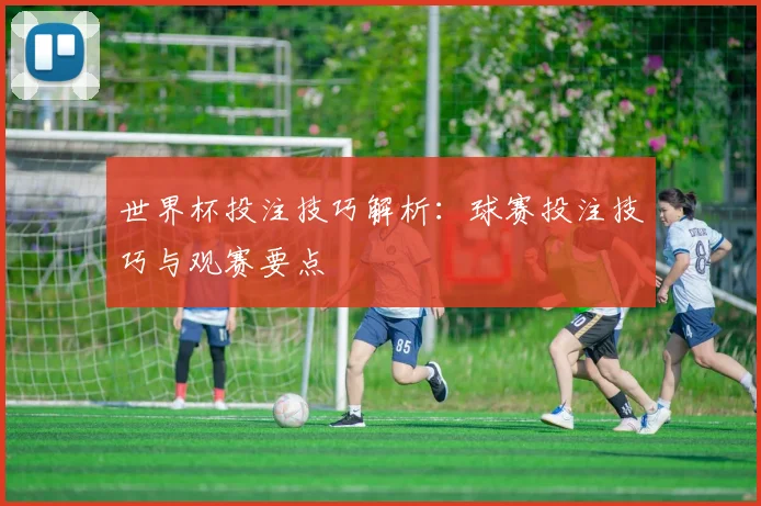 世界杯投注技巧解析:球赛投注技巧与观赛要点
